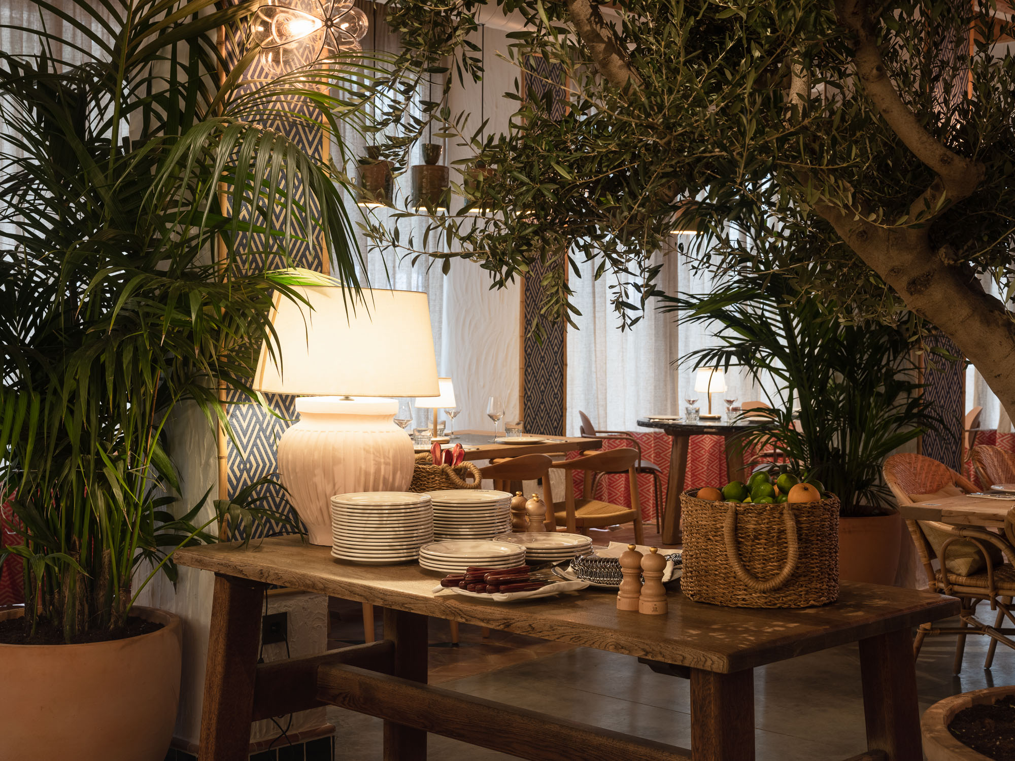 Salón de Barbarita con plantas